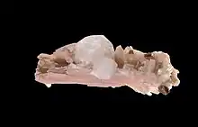 Analcime sur sérandite du mont Saint-Hilaire, Québec (4,8 × 2 cm).
