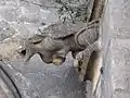 Gargouille du porche.