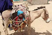 Âne transportant un enfant sur une route de Bol.