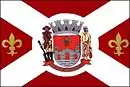 Drapeau de Anhembi