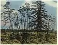 En Finlande, 1910