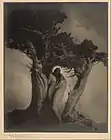 The Heart of the Storm (1914) - Gelatin silver, toned or gelatin silver bromide - Getty Center