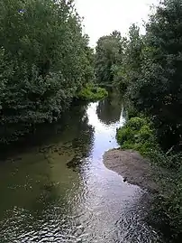 Bras de l'Antenne.