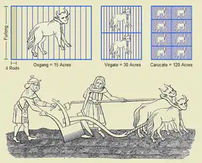 Le furlong et d'anciennes unités de mesure agraire (en réalité très variables)