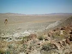 Agua Caliente