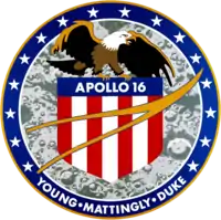 Insigne de la mission