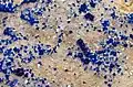 Kinoite sur Apophyllite, cristaux jusqu'à 2&nbsp;mm