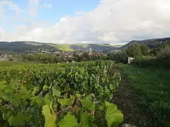 Arbois