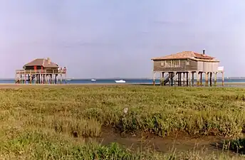 Cabanes tchanquées du Bassin d'Arcachon