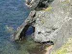 Arche