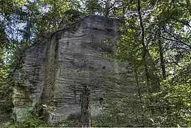 Image illustrative de l’article Château d'Arconciel