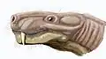Reconstitution colorisée de la tête d'Arctognathus curvimola.
