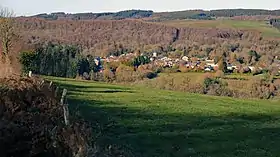 Arfons