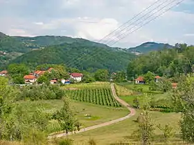 Severovo