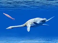 Reconstitution en image de synthèse d'un plésiosaure nageant au coté d'un calmar.