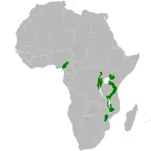 carte de répartition d'Arizelocichla