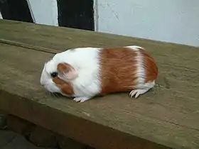 ""