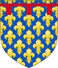 Rois de Sicile (péninsulaire), improprement nommés rois de Naples : d'Anjou.