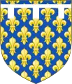 Jusqu'au XIVe siècle :d'azur semé de fleurs de lys d'or au lambel d'argent.