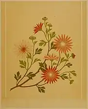 Broderie de 1878.