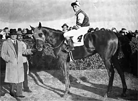 Image illustrative de l’article Assault (cheval)