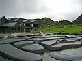 Atlantic Sea-Park