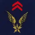 Aviation légère de l'Armée de terre