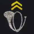 Chasseurs à pieds - chasseurs alpins