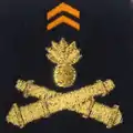 28e groupe géographique