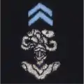 Hussards