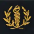 Service de santé des Armées - Régiment médical