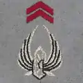 Régiment de soutien du combattant
