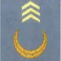 1er régiment de tirailleurs