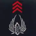 Train - tradition Armée d'Afrique