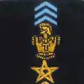 41e régiment de transmissions