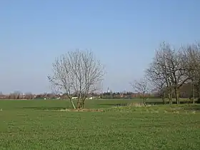 Aubers
