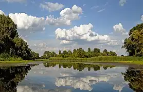 Un plan d'eau.