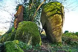 Image illustrative de l’article Menhir de la Glinaie