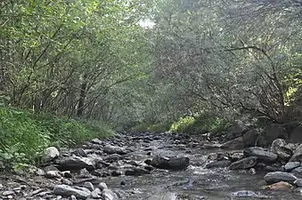 Rivière de Saint-André.