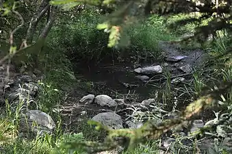 Torrent de Graves.