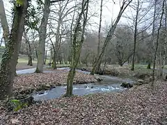 L'Auzette à Limoges dans le parc du Mas-Rome