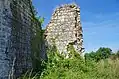 Château des Roches-Tranchelion. Pans de mur (2014)