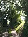 Avon Estuary Walk.