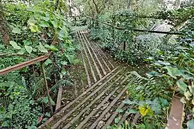 Chemin végétalisé, parc du Sarrat.