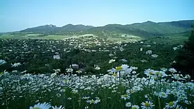 Aygehovit