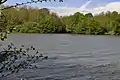 La Bèze se jette dans la Saône entre Pontailler-sur-Saône et Vonges.