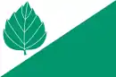 Drapeau de Březina (Tišnov)