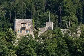 Image illustrative de l’article Château du Schlossberg