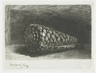 Le Coquillage(1650, Rijksmuseum Amsterdam).