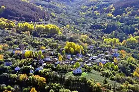 Bačka (Gora)